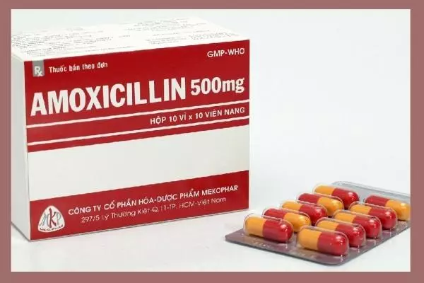 Amoxicillin-giup-giam-viem-amidan-hoc-mu-gay-ra-boi-vi-khuan